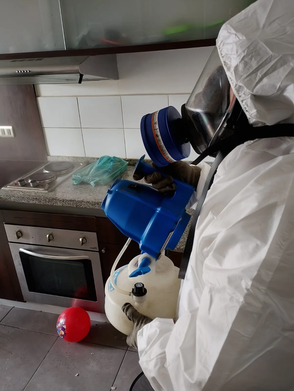 Control de plagas en cocina