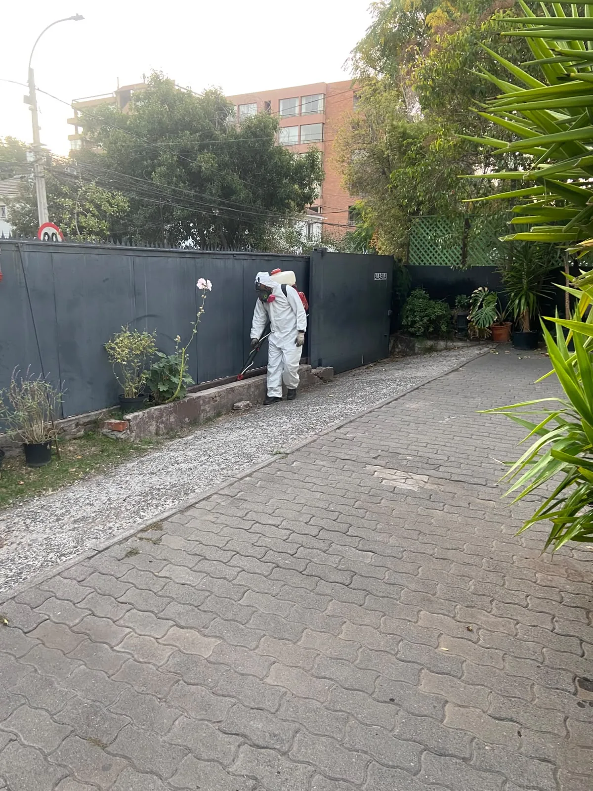 Control de plagas en patios y exteriores
